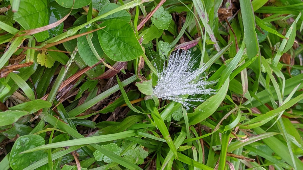 Mở mang từ mất&nbsp;mát