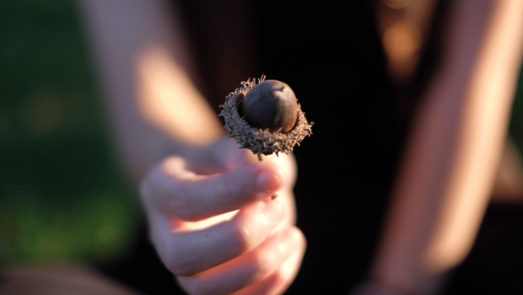 “I’m on a&nbsp;boat”