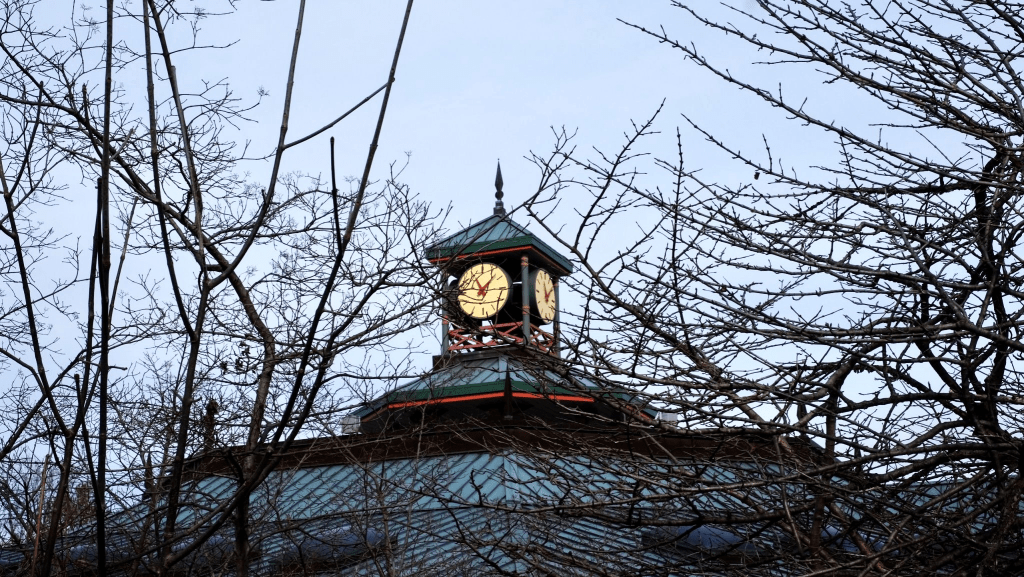 Tuyết đầu mùa&nbsp;rơi